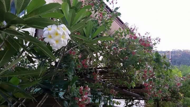 Periwinkle Villa Koh Chang Bagian luar foto