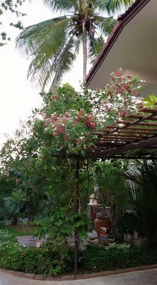 Periwinkle Villa Koh Chang Bagian luar foto
